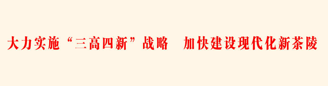 大力实施“三高四新”战略 加快建设现代化新<span style='background:#ffde47'>茶陵</span>.jpg